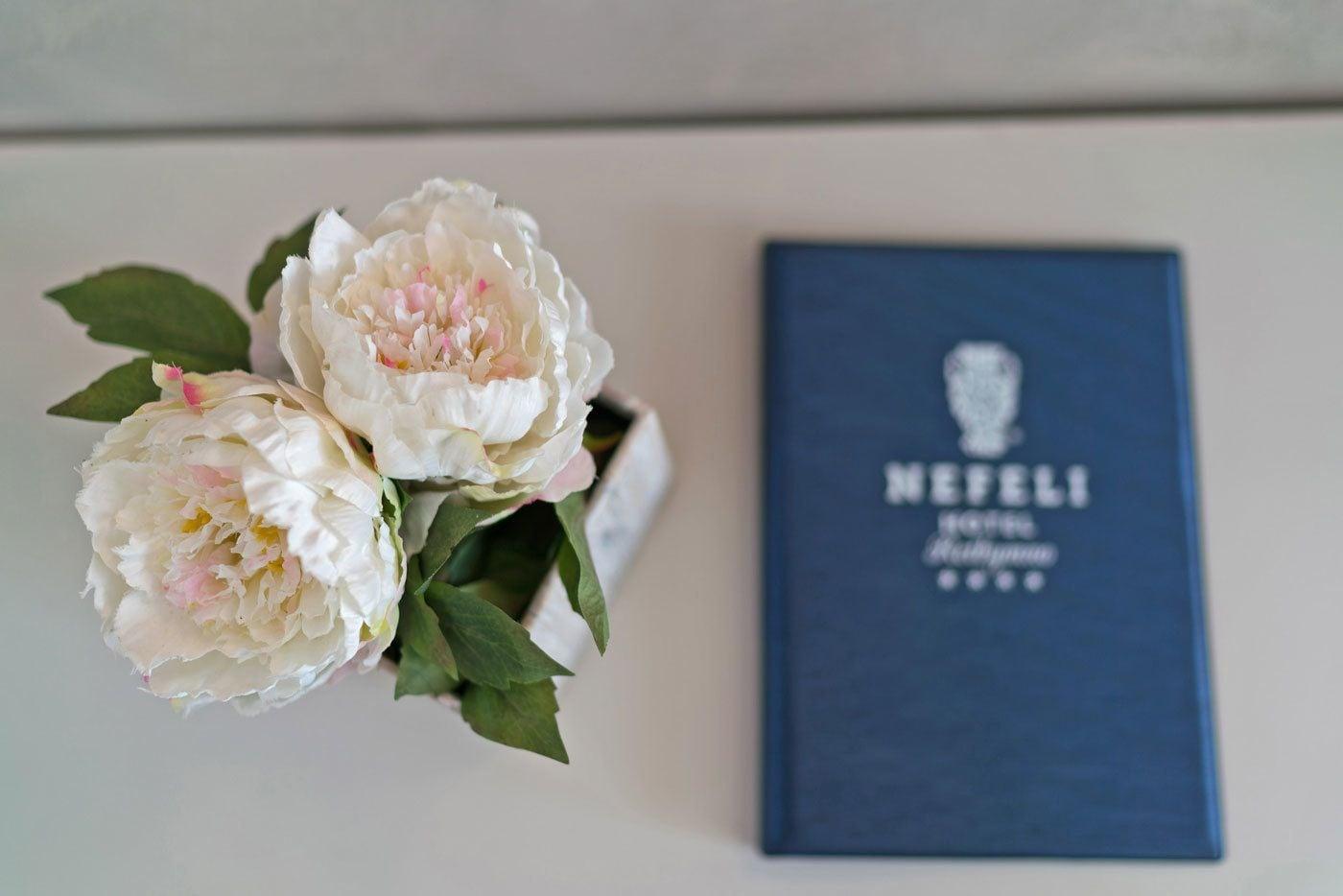 Nefeli Hotel Platanes  Dış mekan fotoğraf