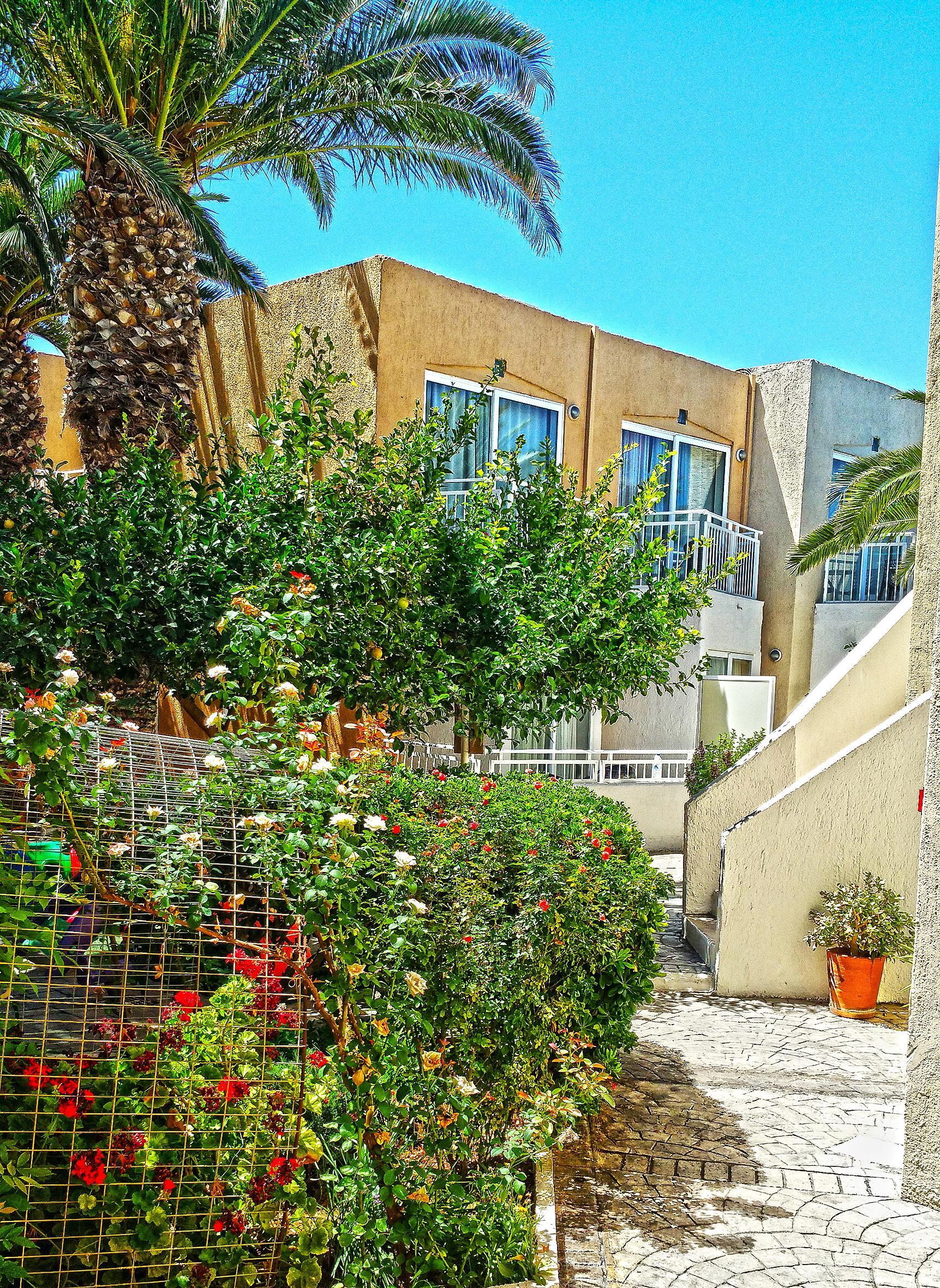 Nefeli Hotel Platanes  Dış mekan fotoğraf